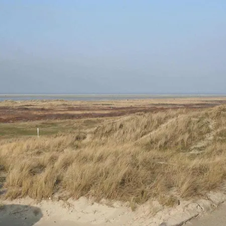 Moewennest 2 35 Comfortable * Borkum